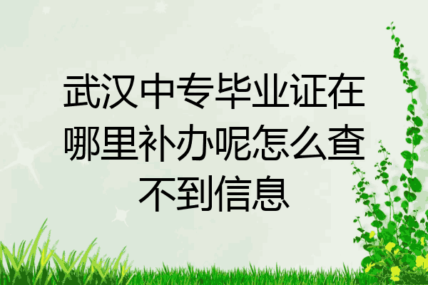 武汉中专毕业证在哪里补办呢怎么查不到信息