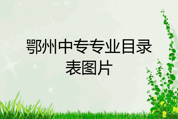 鄂州中专专业目录表图片
