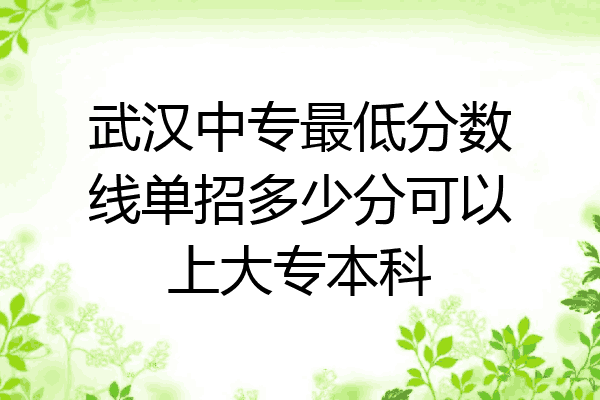 武汉中专最低分数线单招多少分可以上大专本科