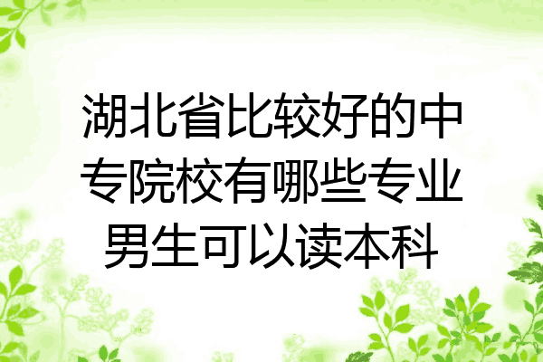 湖北省比较好的中专院校有哪些专业男生可以读本科