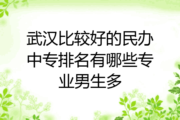 武汉比较好的民办中专排名有哪些专业男生多