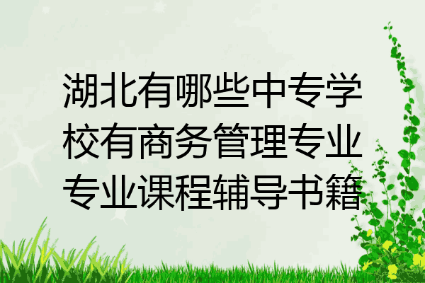 湖北有哪些中专学校有商务管理专业专业课程辅导书籍