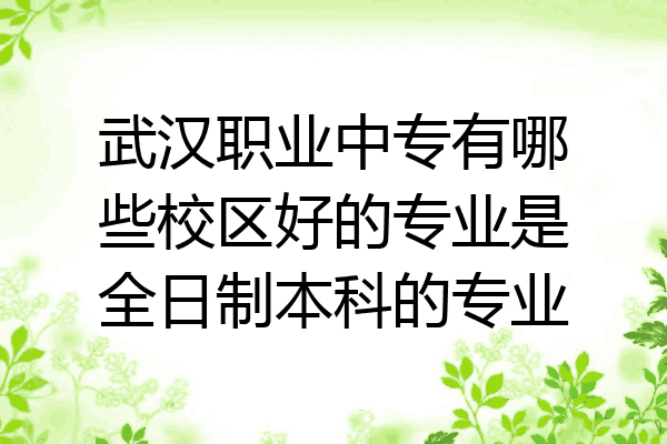 武汉职业中专有哪些校区好的专业是全日制本科的专业
