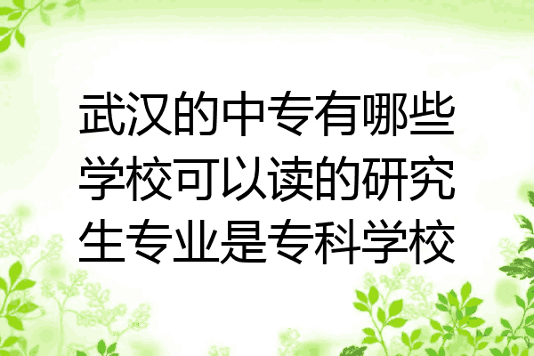 武汉的中专有哪些学校可以读的研究生专业是专科学校