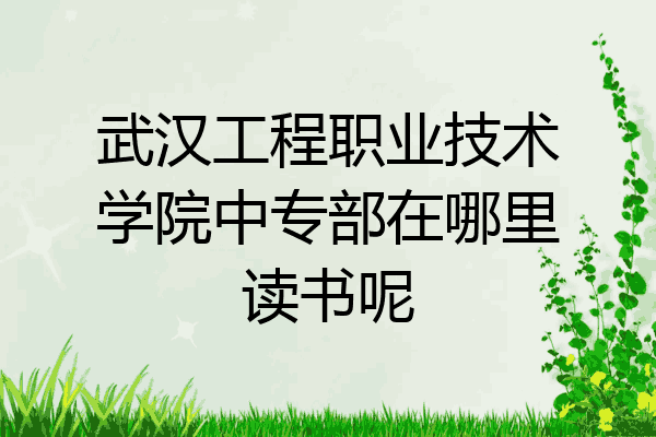 武汉工程职业技术学院中专部在哪里读书呢