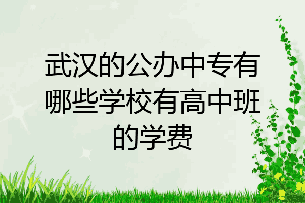 武汉的公办中专有哪些学校有高中班的学费