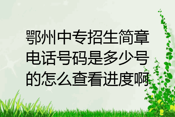鄂州中专招生简章电话号码是多少号的怎么查看进度啊