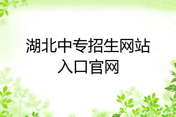 湖北中专招生网站入口官网