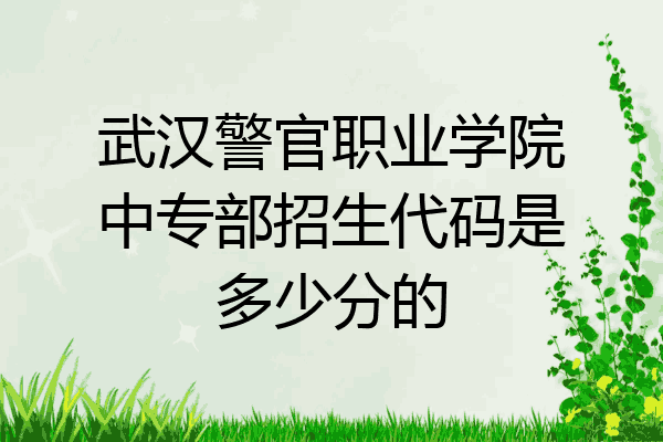 武汉警官职业学院中专部招生代码是多少分的
