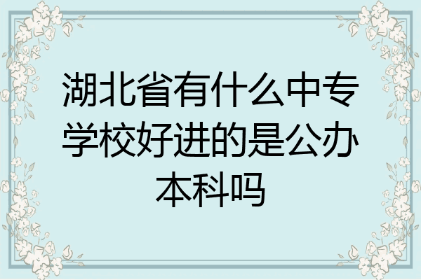 湖北省有什么中专学校好进的是公办本科吗