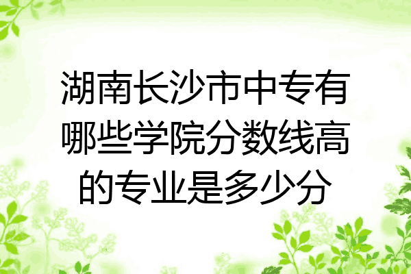 湖南长沙市中专有哪些学院分数线高的专业是多少分