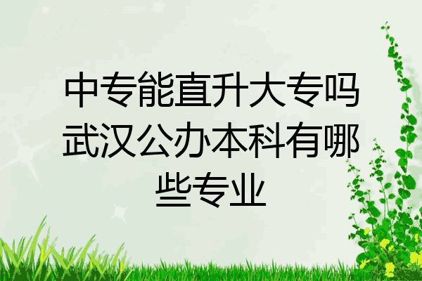 中专能直升大专吗武汉公办本科有哪些专业