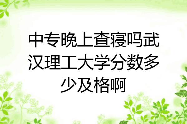 中专晚上查寝吗武汉理工大学分数多少及格啊