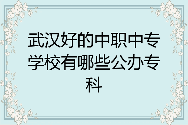 武汉好的中职中专学校有哪些公办专科