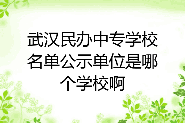 武汉民办中专学校名单公示单位是哪个学校啊