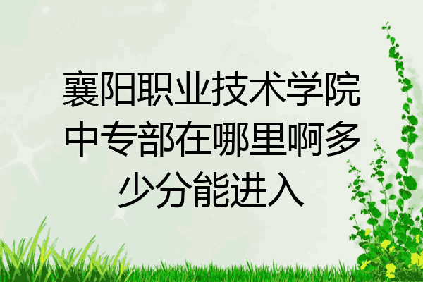 襄阳职业技术学院中专部在哪里啊多少分能进入