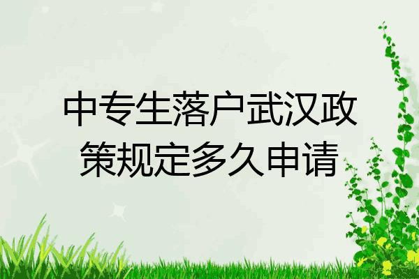 中专生落户武汉政策规定多久申请