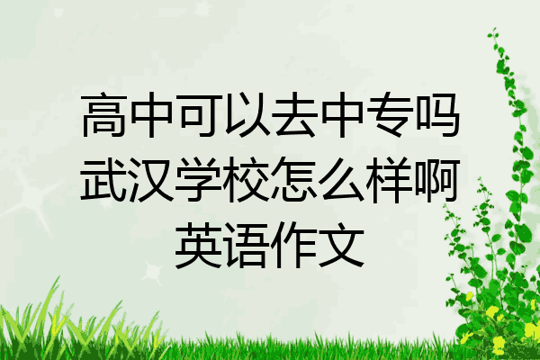 高中可以去中专吗武汉学校怎么样啊英语作文