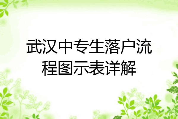 武汉中专生落户流程图示表详解