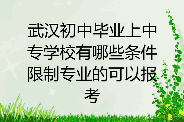 武汉初中毕业上中专学校有哪些条件限制专业的可以报考