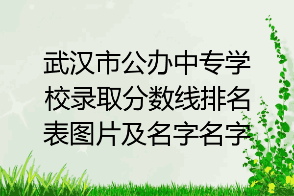 武汉市公办中专学校录取分数线排名表图片及名字名字
