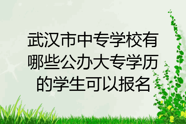 武汉市中专学校有哪些公办大专学历的学生可以报名