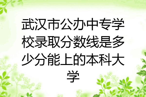 武汉市公办中专学校录取分数线是多少分能上的本科大学