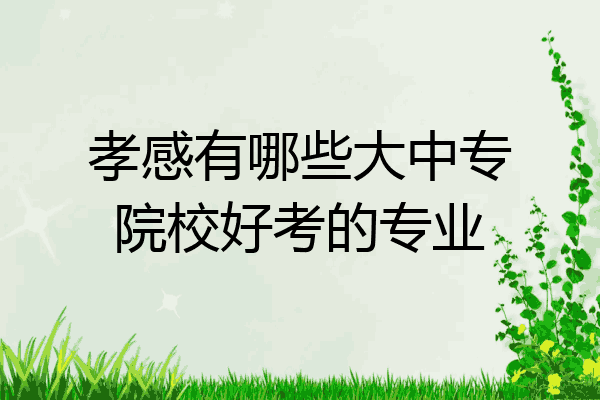 孝感有哪些大中专院校好考的专业