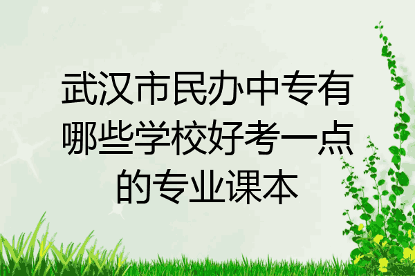 武汉市民办中专有哪些学校好考一点的专业课本