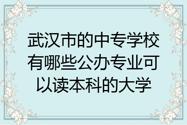 武汉市的中专学校有哪些公办专业可以读本科的大学