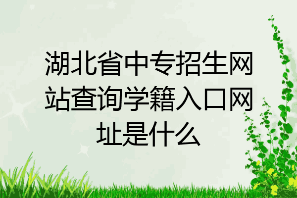 湖北省中专招生网站查询学籍入口网址是什么