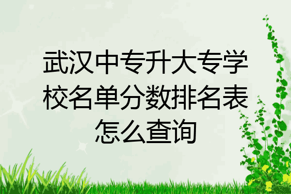 武汉中专升大专学校名单分数排名表怎么查询