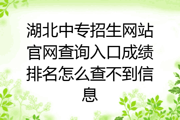 湖北中专招生网站官网查询入口成绩排名怎么查不到信息