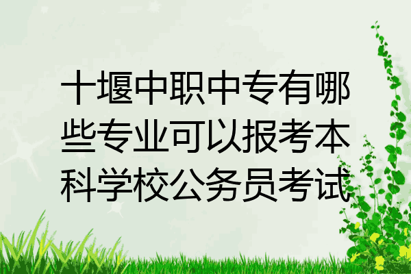 十堰中职中专有哪些专业可以报考本科学校公务员考试