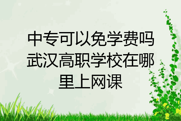 中专可以免学费吗武汉高职学校在哪里上网课