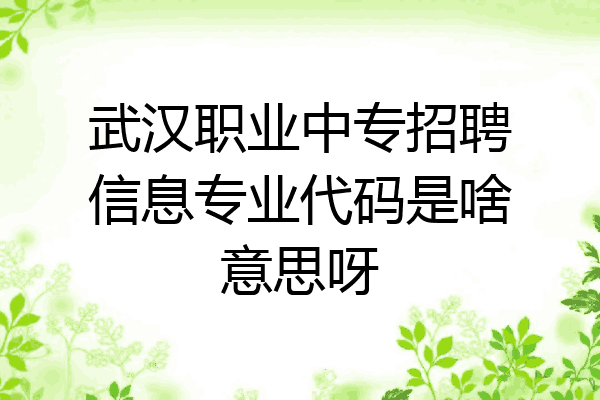 武汉职业中专招聘信息专业代码是啥意思呀