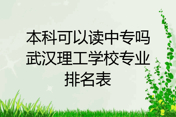 本科可以读中专吗武汉理工学校专业排名表
