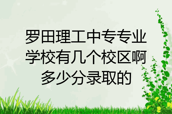 罗田理工中专专业学校有几个校区啊多少分录取的