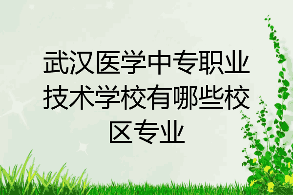 武汉医学中专职业技术学校有哪些校区专业