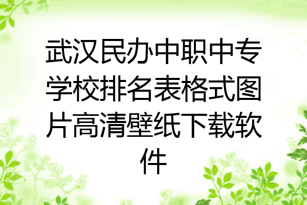 武汉民办中职中专学校排名表格式图片高清壁纸下载软件