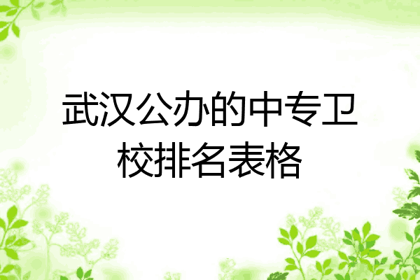 武汉公办的中专卫校排名表格