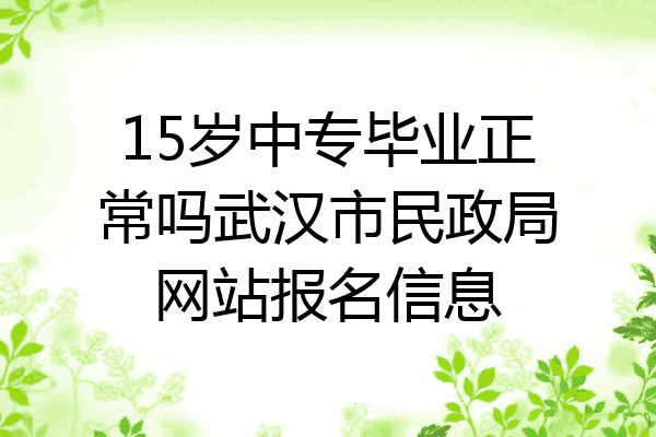 15岁中专毕业正常吗武汉市民政局网站报名信息
