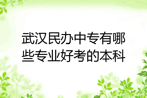 武汉民办中专有哪些专业好考的本科