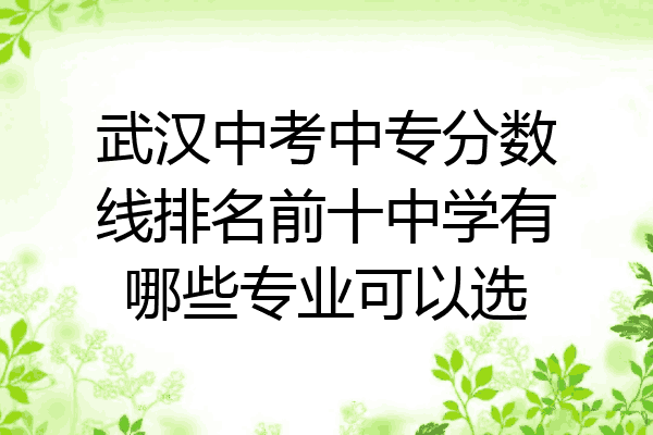 武汉中考中专分数线排名前十中学有哪些专业可以选