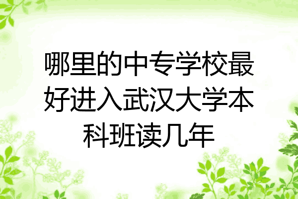 哪里的中专学校最好进入武汉大学本科班读几年