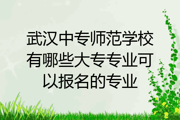 武汉中专师范学校有哪些大专专业可以报名的专业