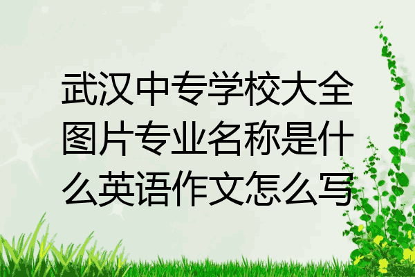 武汉中专学校大全图片专业名称是什么英语作文怎么写