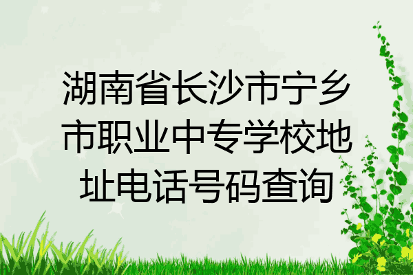 湖南省长沙市宁乡市职业中专学校地址电话号码查询