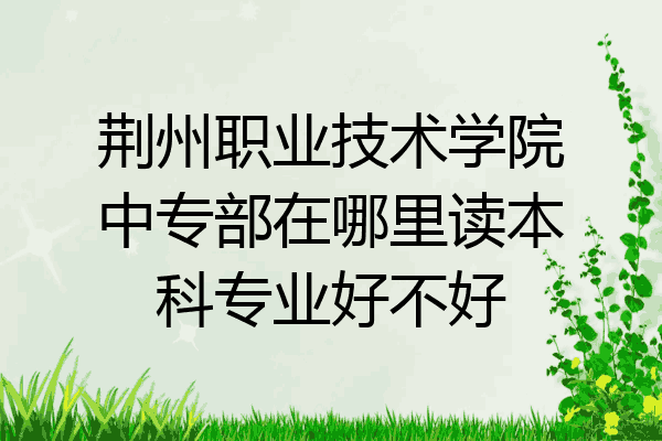 荆州职业技术学院中专部在哪里读本科专业好不好