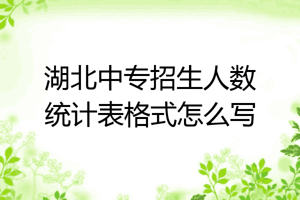 湖北中专招生人数统计表格式怎么写